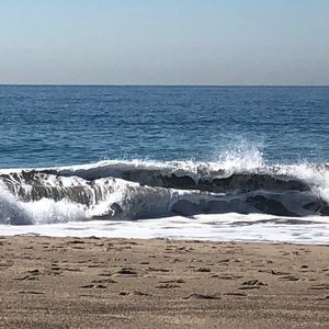 Meet your Posher, Claudia